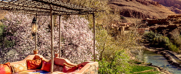 Todra Gorge, High Atlas, Terrace, Morocco